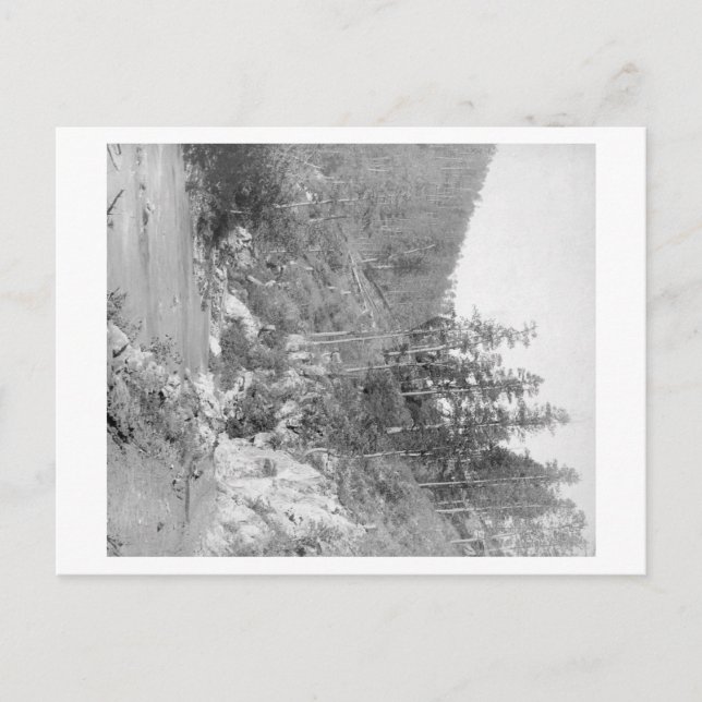 Postal Paisaje en la carretera de la madera oscura a Stur (Anverso)