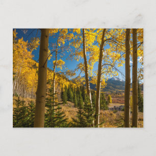 Postal Paisaje en las montañas de San Juan