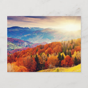 Postal Paisaje forestal de otoño de montaña