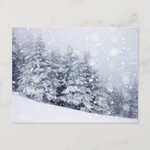 Postal Paisaje forestal invernal nevado