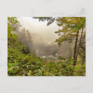 Postal Paisaje forestal y oceánico