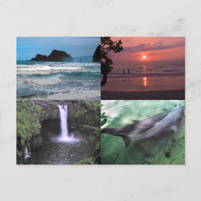 Postal Paisaje hawaiano Cuatro Foto Aloha Hawaii (Anverso)