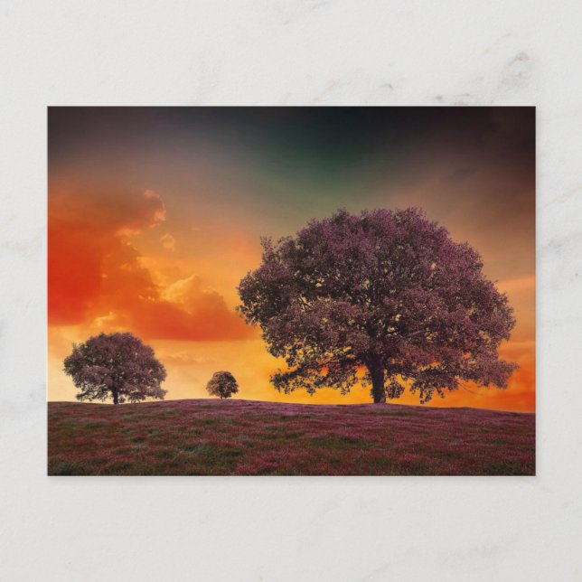 Postal Paisaje hermoso de la naturaleza del cielo (Anverso)