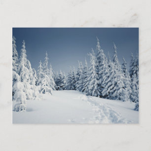 Postal Paisaje invernal
