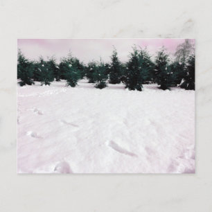 Postal Paisaje invernal con larvas en la nieve