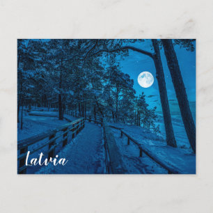 Postal Paisaje invernal con pinar cubierto de nieve