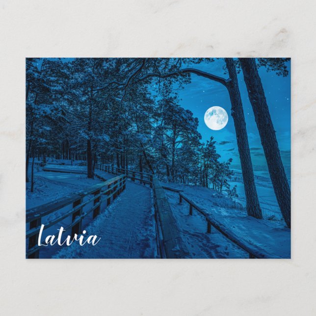 Postal Paisaje invernal con pinar cubierto de nieve (Anverso)