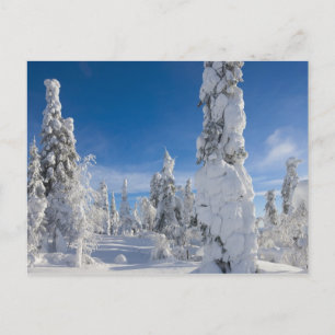 Postal Paisaje invernal en Lappland