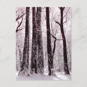 POSTAL PAISAJE INVERNAL NEVADO DE BOSQUES DE MADERA