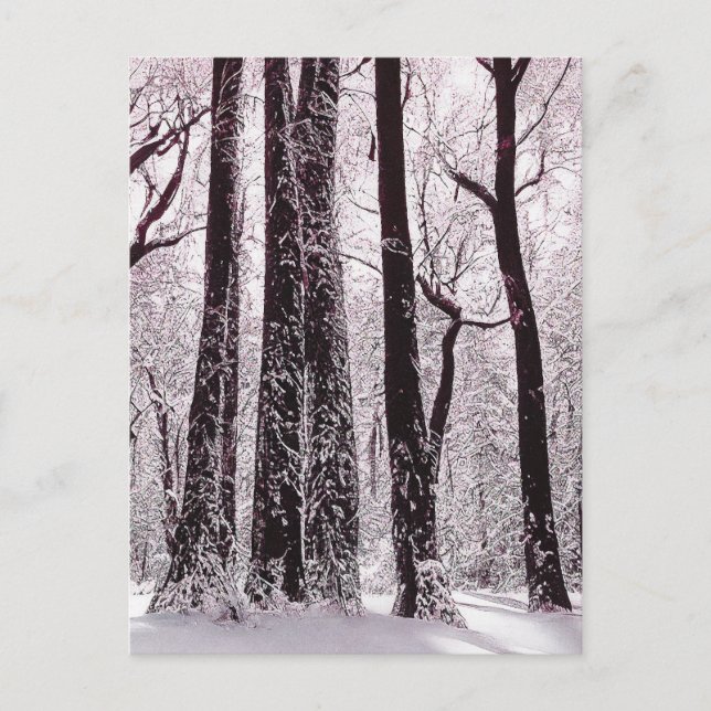 POSTAL PAISAJE INVERNAL NEVADO DE BOSQUES DE MADERA (Anverso)