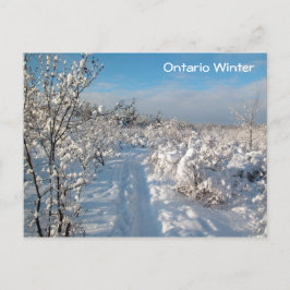 Postal Paisaje invernal - Postcard