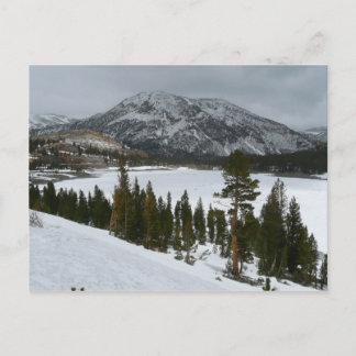 Postal Paisaje invernal Snowy Ellery Lake California