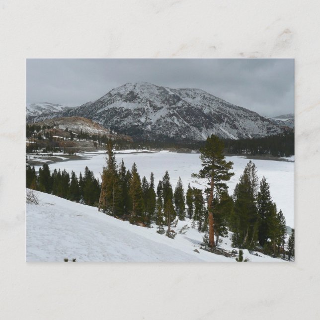 Postal Paisaje invernal Snowy Ellery Lake California (Anverso)