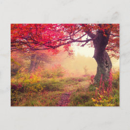 Postal Paisaje majestuoso con los árboles del otoño en