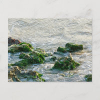 Paisaje marino