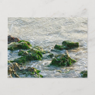 Postal Paisaje marino