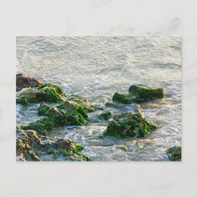 Postal Paisaje marino (Anverso)