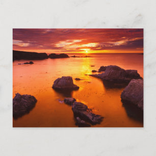Postal Paisaje marino naranja, puesta de sol, California