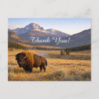Paisaje montañoso Bisonte americano Gracias