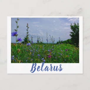 Postal Paisaje natural Campo de paisaje rural Bielorrusia