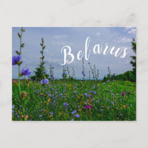 Postal Paisaje natural Campo de paisaje rural Bielorrusia