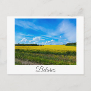 Postal Paisaje natural Canola Campo Rural Bielorrusia