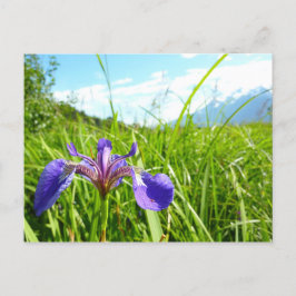 Postal Paisaje natural de Iris y Alaska