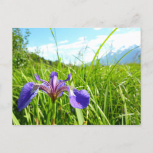 Postal Paisaje natural de Iris y Alaska