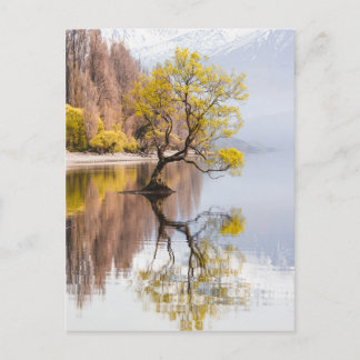 Postal Paisaje natural del otoño de Wanaka Tree