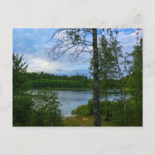 Postal Paisaje natural Escenario Abedul Bielorrusia Tarje