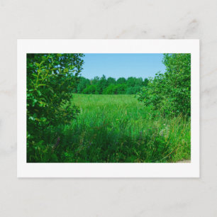 Postal Paisaje natural Paisaje Bosque de Campo Verde