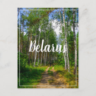 Postal Paisaje natural Paisaje paisaje Bosque Birch Bielo