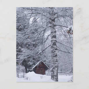 Postal paisaje nevado
