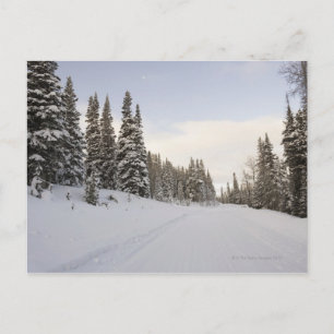 Postal Paisaje nevado