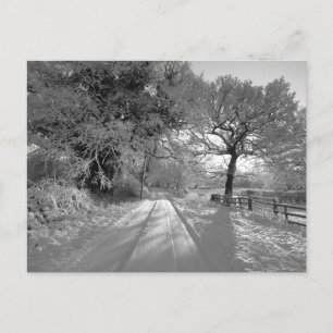 Postal Paisaje nevado: Cheshire