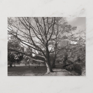 Postal Paisaje otoñal Bute Park Cardiff