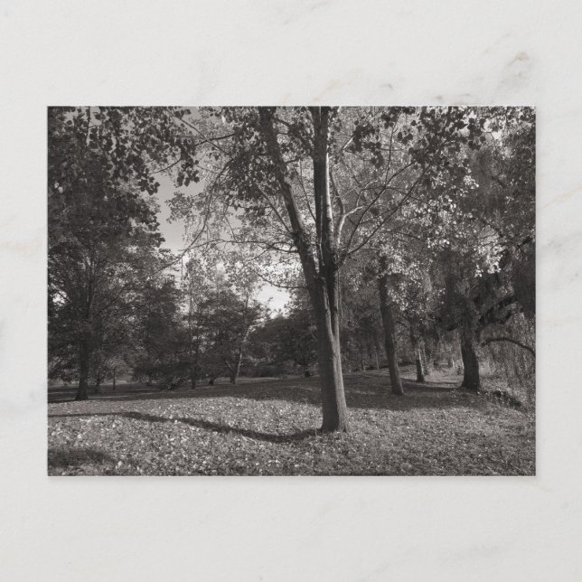 Postal Paisaje otoñal Bute Park Cardiff (Anverso)