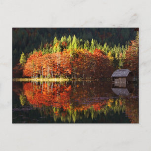 Postal Paisaje otoñal en un lago