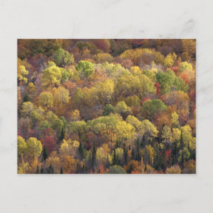 Postal Paisaje otoñal, Vermont, Estados Unidos 2