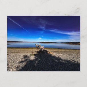 Postal Paisaje Pacífico con Deriva Cielo Azul