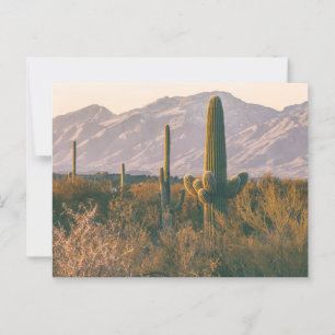 Postal Paisaje paisajístico del Parque Nacional Saguaros