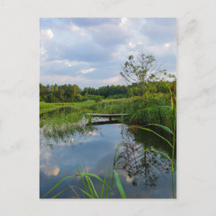 Postal Paisaje paisajístico Lago Bielorrusia Postcard