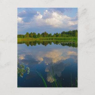 Postal Paisaje paisajístico Lago Bielorrusia Postcard