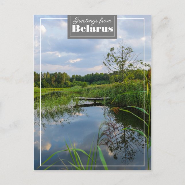Postal Paisaje paisajístico Lago Bielorrusia Postcard (Anverso)