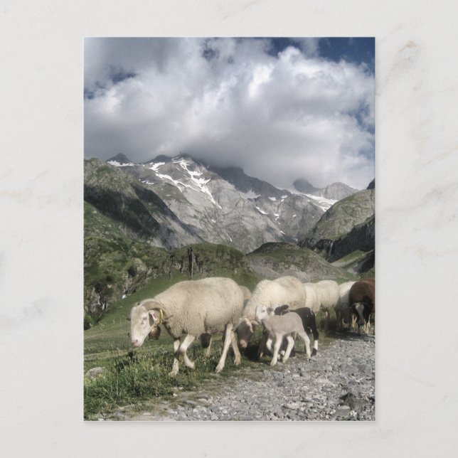 Postal paisaje pirénico (Anverso)