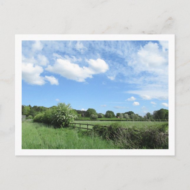 Postal Paisaje rural en mayo (Anverso)