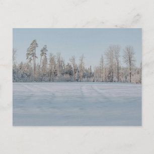 Postal Paisaje sereno de bosque nevado