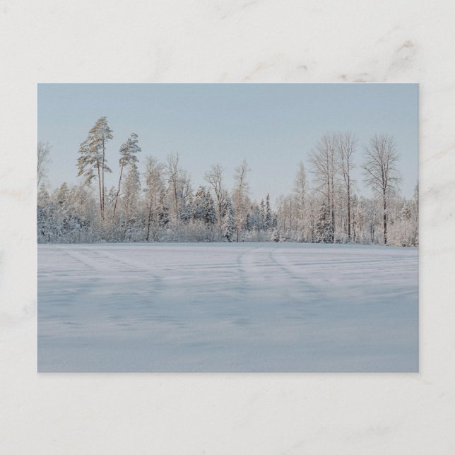Postal Paisaje sereno de bosque nevado (Anverso)