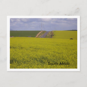 Postal Paisaje sudafricano