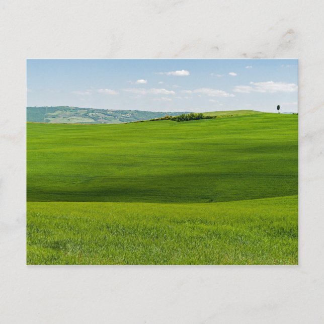 Postal Paisaje típico de la Toscana con colinas - Italia (Anverso)
